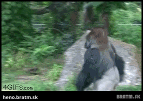 Ja vám na to seru :)