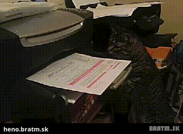Dokonalý pomocník :D