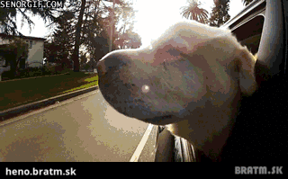 Rozkošné :D klikni pre zobrazenie :)