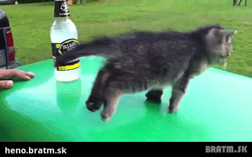 BRATM GIF: Tak toto je aký rozkošný pád :D