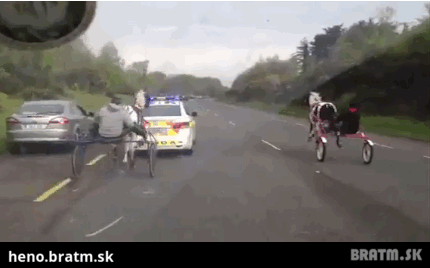 BRATM GIF: Zábavná policajná naháňačka :D