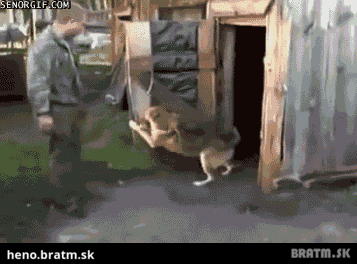 BRATM GIF: Heeej! neotravujte ma, chcem byť sám :D
