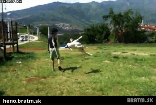 BRATM GIF: Extrémne obratný psík v akcí.. zlatééé :)