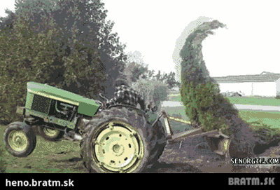 BRATM GIF: Tam máš ty sviňa jedna ! :D:D:D:D