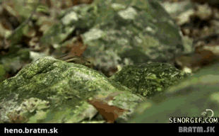 BRATM GIF: Tak toto je naozaj rýchlosť :D