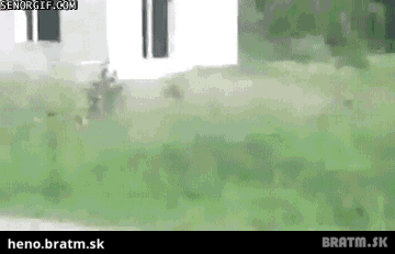 BRATM GIF: Jééééj :D detské hry v bahne :D omg :D