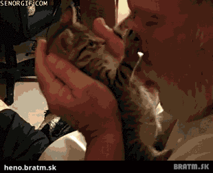 BRATM GIF: Jeeej...roztomilé mačiatko :)