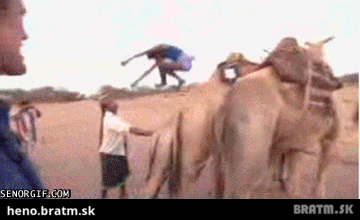BRATM GIF: Najbrutálnejší skok na svete :D to si ešte nevidel ! :D