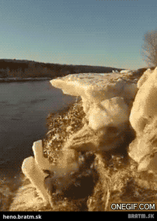 BRATM GIF : Stupidita nepozná hraníc :D
