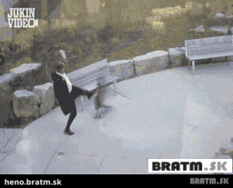 BRATM GIF: Strážca svojho teritória :D