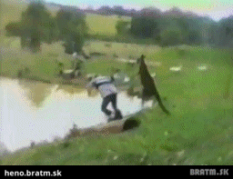 BRATM GIF: Človeče, bež sa schladiť :D