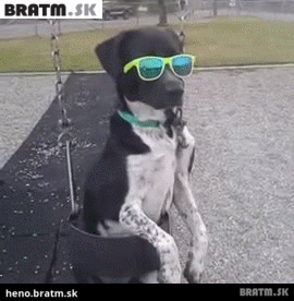 BRATM GIF: Like a boss :D