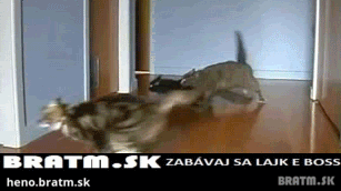 BRATM GIF: Umývanie dlážky už nie je potrebné :D