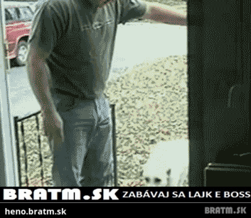 BRATM GIF: Pes čaká, kým mu niekto otvorí otvorené dvere :D :D