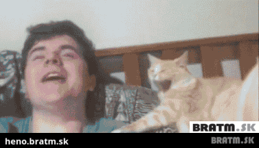 BRATM GIF: Napodobujúca mačka :D