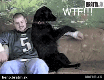 BRATM GIF:  Skutočný mazlíček :D