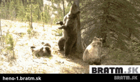 BRATM GIF: PARTY HARD ! :D