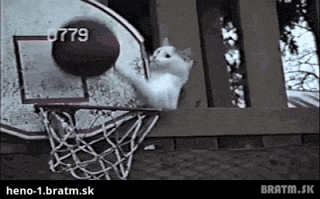 BRATM GIF: Najlepší pomocník v basketbale :D