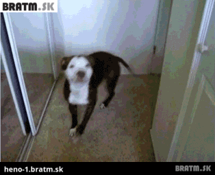 BRATM GIF: :D Tak toto je podarené :)