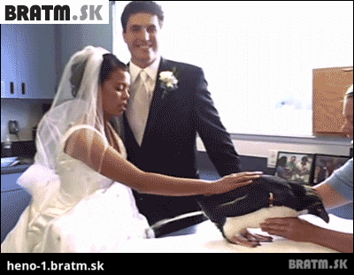 BRATM GIF: Najnechutnejšia svadobná nehoda :D