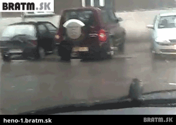 BRATM GIF: Haluzné ! :D vták na stieračoch nechce odletieť :D