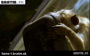 BRATM GIF: Čo dokáže spôsobiť ranný pohľad do zrkadla :D