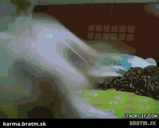 BRATM GIF: Najrýchlejší pes na svete ! :D podarené :)