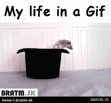 BRATM GIF: My life in a GIF :D