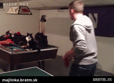 BRATM GIF: Daj si na to cica! :D