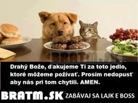 Psia modlitba :)