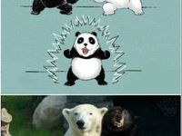 Takto sa robí panda :D