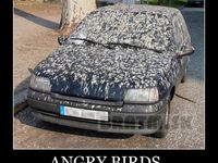 Angry birds v reálnom živote :D