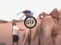 BRATM GIF: Najbrutálnejší skok na svete :D to si ešte nevidel ! :D