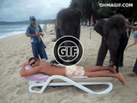 BRATM GIF: Slonia masáž na pláži :D