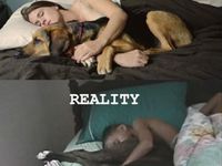 Pes v posteli :D takáto je realita :D