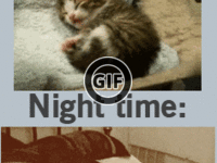 BRATM GIF: Náš víkendový život počas dňa a počas noci :D