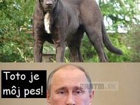 Šokujúce! Ruský prezident Putin má svojho dvojníka :D