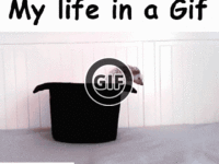 BRATM GIF: My life in a GIF :D