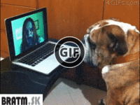 BRATM GIF: Chcete vedieť, ako dopadol super strašidelný test pre psa? :D