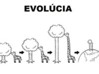 Žirafy a ich evolúcia :D