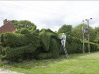 Pozrite si tohoto pána a jeho záhradné umelecké dielo :)