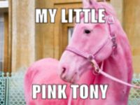 My little pink tony