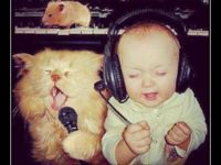 Milujú hudbu