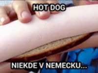Toto je hot dog na nemecký styl :D