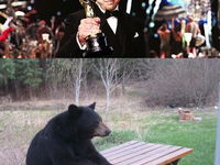 Leonardo vs medved :D